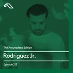 The Anjunadeep Edition 213