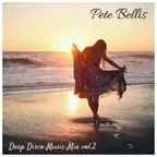 Deep Disco Music Mix vol.2