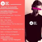 Sound Pleasure #21 