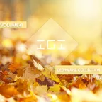 Deep House Collection vol.41