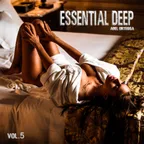 Essential Deep Vol.5