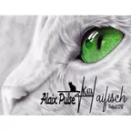 KataHaifisch Podcast 058 