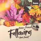 Fallowing (Soave Mixtape)