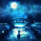wonderful evening