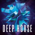 DEEP SEXY HOUSE MUSIC