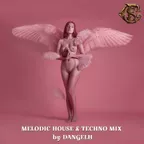 Pink Angel (MelodicHouse&TechnoMix)