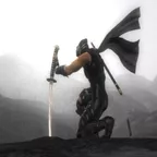 Ninja