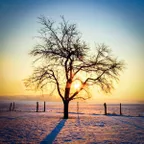 Glimmer: Wintershine [December 2018] 