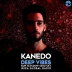 Deep Vibes (Guest Mix)