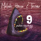 Melodic House & Techno 9