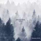 January 2019