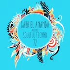 Soulful Techno 072