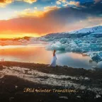 Mid Winter Transitions 