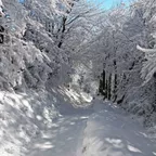 Deep Winter Mix 2019 vol.5 