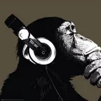Disco pu - GOMOnatural1