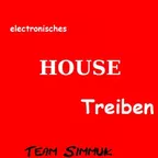 Elektronisches HouseTreiben