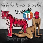 Melodic House & Techno 11