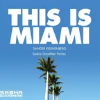 Sander Kleinenberg - This Is Miami (Sasha Goodman Remix)