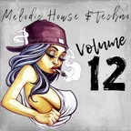 Melodic House & Techno 12