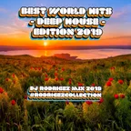 Best World Hits - Deep house edition (DJ Rodrigez mix 2019)