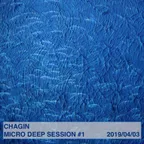 Chagin Micro-Deep Session 2019/04/03