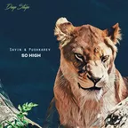 Savin & Pushkarev - So high (Original mix)