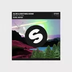 Alok & Mathieu Koss — Big Jet Plane (QUBA Remix)