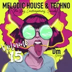 Melodic House & Techno 15