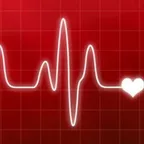 The rhythm of the heart