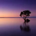 DEEP IN MY SOUL vol.15 