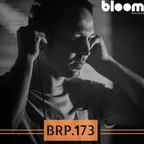 BRP 173 