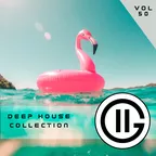Deep House Collection vol.50