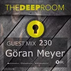 The Deep Room Guest Mix 230