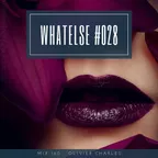 WhAtElsE Series #028