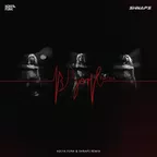 Loboda - В зоне риска (Kolya Funk & Shnaps Remix)