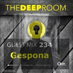 The Deep Room Guest Mix 234