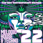 Melodic House & Techno 22