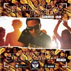The Underdog Project - Summer Jam (Struzhkin Remix)