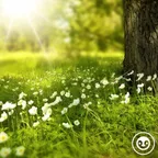 easy life (deep story nr. 130)