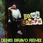 Зомб - Сафари (Denis Bravo Radio Edit)