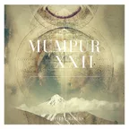 MuMPuR XXII