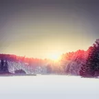 Winter Mix 2020