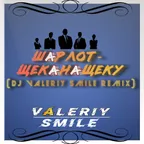 Шарлот - Щека на щеку (DJ Valeriy Smile remix)