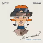 NILETTO — Ты такая красивая (Lavrushkin & NitugaL Remix)