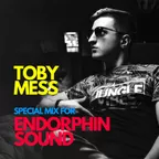 TOBY MESS - Special Mix For ENDORPHIN SOUND