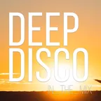 Deep Disco Records Mix vol.48
