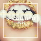WhAtElsE Series #029