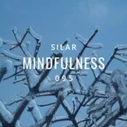 Mindfulness Episode 95