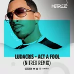 Ludacris - Act A Fool (Nitrex Remix)