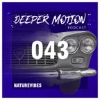 DMR Podcast #043